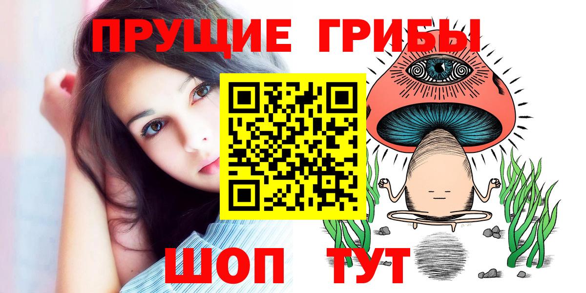 Псилоцибиновые грибы GOLDEN TEACHER Хабаровск
