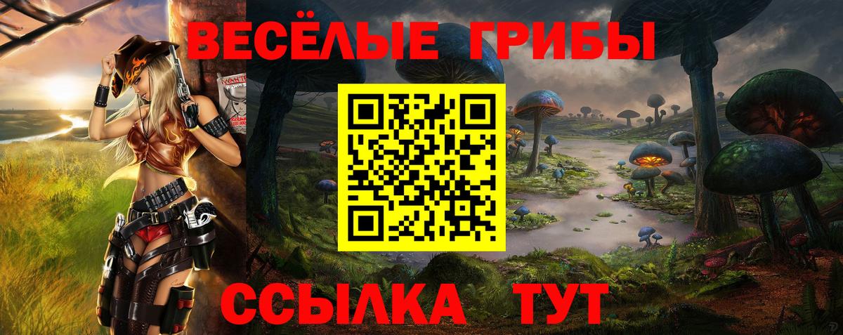 Хабаровск  Псилоцибиновые грибы Cubensis  Псилоцибиновые грибы ЛСД  Вход с VPN 
